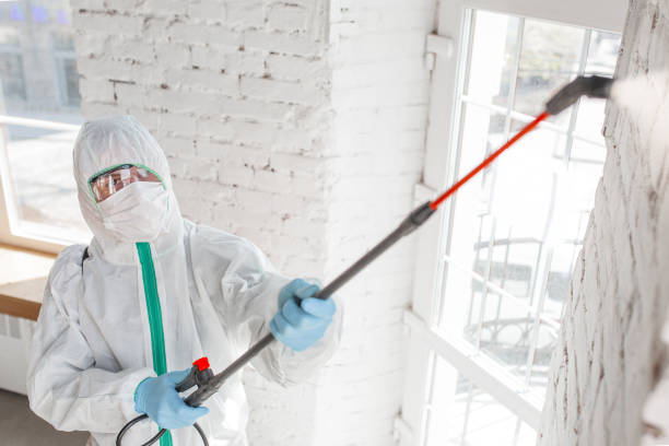 Best Emergency Mold Remediation  in Farmingdale, NJ