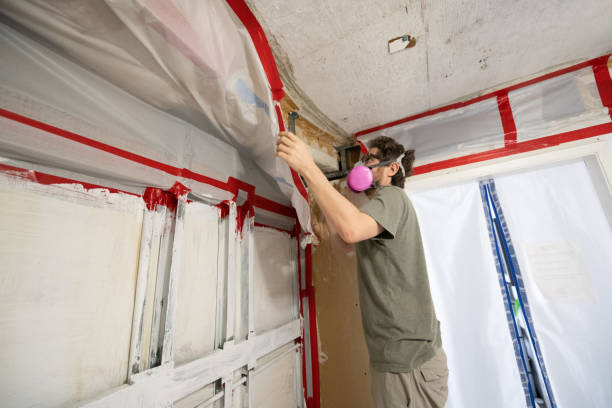 Professional Mold Removal in Farmingdale, NJ