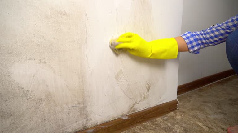 Mold Odor Removal Services in Farmingdale, NJ